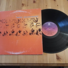 Prelude – Back Into The Light lp orig USA 1976 Folk Rock - pikkukuva 1