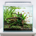 Uniikki akvaariojuurakko 24 cm | nr78 - pikkukuva 2
