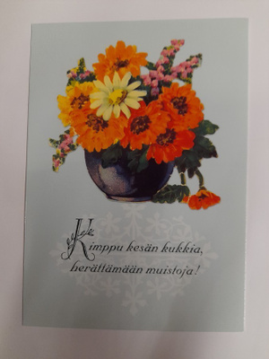 Kimppu kesän kukkia...