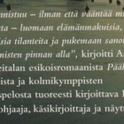 Mikko Reitala: Päähenkilö - pikkukuva 4