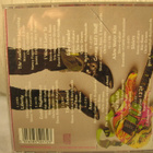 Steve Vai: Passion And Warfare CD. - pikkukuva 2