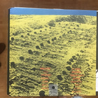 Lama LP - pikkukuva 2