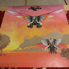 OSIBISA: Osibisa. * 1974 UK - pikkukuva 1
