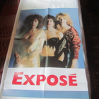Exposé: What You Don´t Know LP 1989 Poster - pikkukuva 4