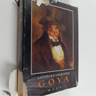 Antonina Vallentin : Goya - pikkukuva 1