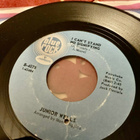 JUNIOR WELLS: Leave My Woman Alone * I Can’t …*USA 1968 - pikkukuva 2