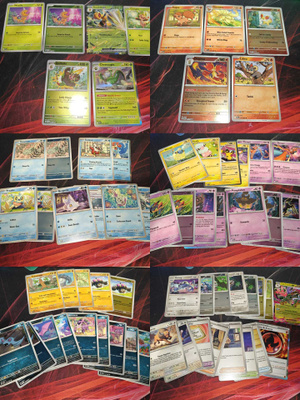 Pokémon Chaos Rising