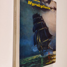 T.A. Engström : Myrskylintu : nuorisoromaani - pikkukuva 1