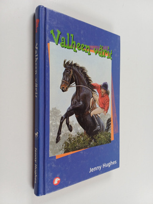 Jenny Hughes : Valheen värit