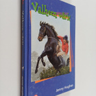 Jenny Hughes : Valheen värit - pikkukuva 1