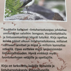 LINTUHARRASTUSOPAS - pikkukuva 2