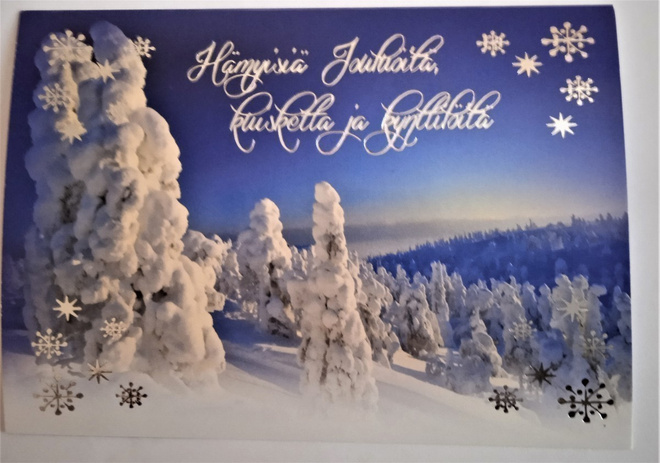NO 8 -   HYMYISIÄ JOULUILTOJA..