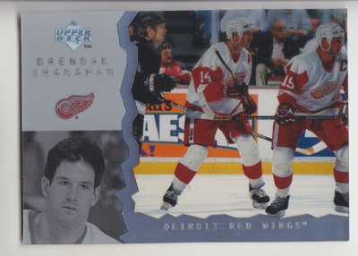 Brendan Shanahan UD ice