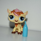 Littlest pet shop kameli juomapullo LPS - pikkukuva 1