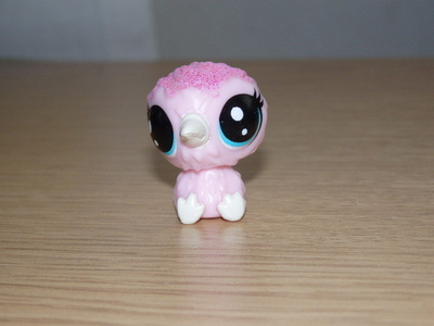 LITTLEST PET SHOP vauva Frosting Kiwibird KIWI, LINTU #2-18