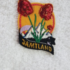 Jämtland Ruotsi Kangasmerkki vanha - pikkukuva 1