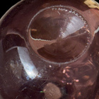 Iittala Lintupullo lila Timo Sarpaneva - pikkukuva 4