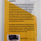 Merja Jalo : Koiratytöt 2 : Jesse ongelmakoira - pikkukuva 2