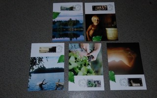 Sauna FDC Maxi-kortit 5eril PK450/20