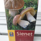 Sienet - kirja - pikkukuva 1