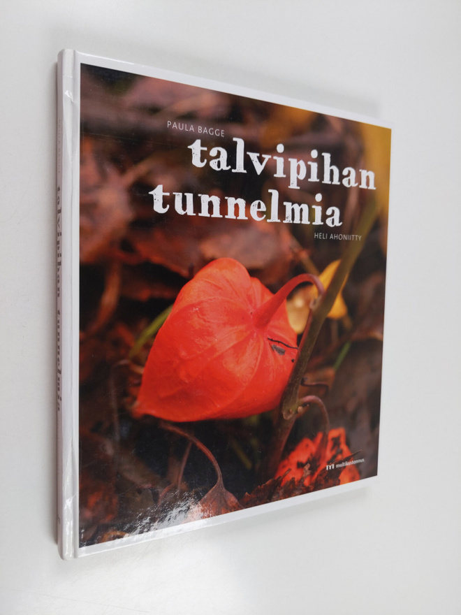 Paula Bagge : Talvipihan tunnelmia