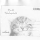 °°HYVÄÄ YSTÄVÄNPÄIVÄÄ°° ...Kissa -KORTTI /Paletti - pikkukuva 2