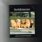 Norfolkinterrieri - Suomen suosituimmat koirarodut - pikkukuva 1