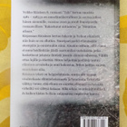 Veikko Räisänen: TALO - Romaani - pikkukuva 2