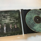 Lost in Twilight / Descending mist 1998 CD - pikkukuva 2