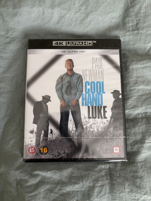Lannistumaton Luke Cool Hand Luke