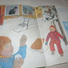 Luonnon kuvakirja - pikkukuva 4