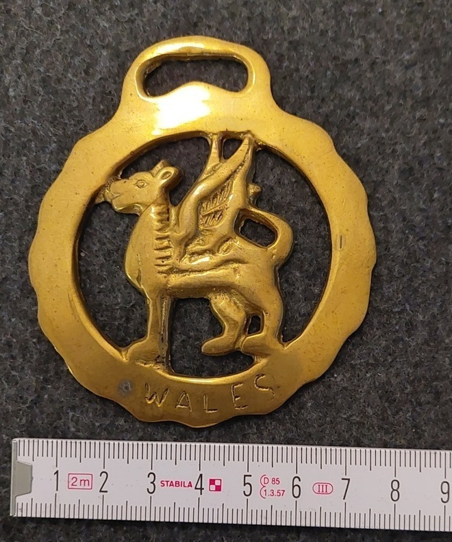 4 kpl Hevonen medaljonki hevosvaljaisiin