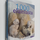 Ulrike Schöber : 1000 eläinlasta - pikkukuva 1