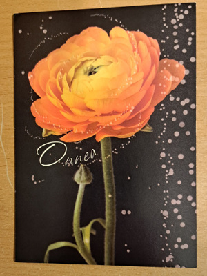 oranssinvärinen kukka, käsipostia