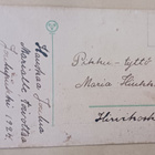 Pikkuleidi tuo Uuden Vuoden apilaruukun, k. k-k 1924 - pikkukuva 2