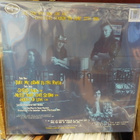 SKIN - TAKE ME DOWN TO THE RIVER EX-/EX+ KUVALEVY 12" - pikkukuva 2