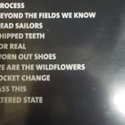 LIGHTHOUSE PROJECT - WE ARE THE WILD FLOWERS M-/M- LP 2012 - pikkukuva 2