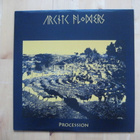 ARCTIC FLOWERS - PROCESSION  12" - pikkukuva 1