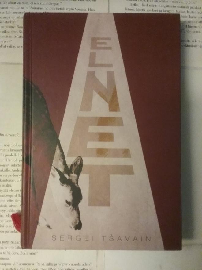 Sergei Tsavain - Elnet (sid.)