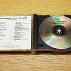 20 Screaming Hits Of The Sixties CD - pikkukuva 2