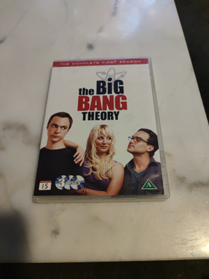 The big bang theory/ 1 kausi
