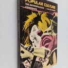 Iain Chambers : Popular culture : The metropolitan experi... - pikkukuva 1