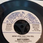 Ray Campi sinkku - pikkukuva 2