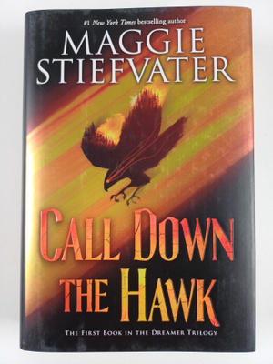Maggie Stiefvater : Call down the hawk