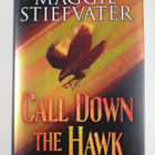Maggie Stiefvater : Call down the hawk - pikkukuva 1