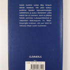 Barbara Michaels : Askel pimeään - pikkukuva 2