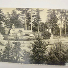 VANHA Postikortti Vammelsuu Luov. Karjala 1933 - pikkukuva 1