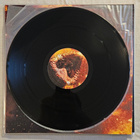 Holy life - B.l.d. (lp) - pikkukuva 3