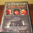 Animal Factory, Elukkatehdas dvd - pikkukuva 1