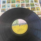 The Electric Prunes: Underground 1967 LP - pikkukuva 3